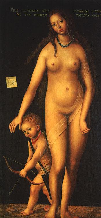 CRANACH, Lucas the Elder Venus and Cupid dfg Germany oil painting art